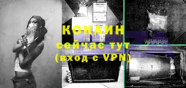 спайс Бородино