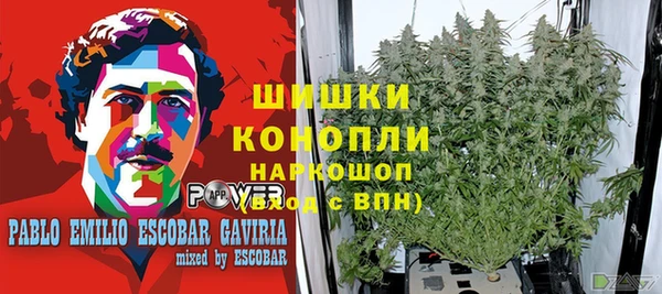 спайс Бородино