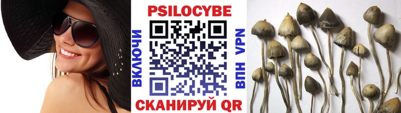 Галлюциногенные грибы GOLDEN TEACHER  Купить  Ворсма 